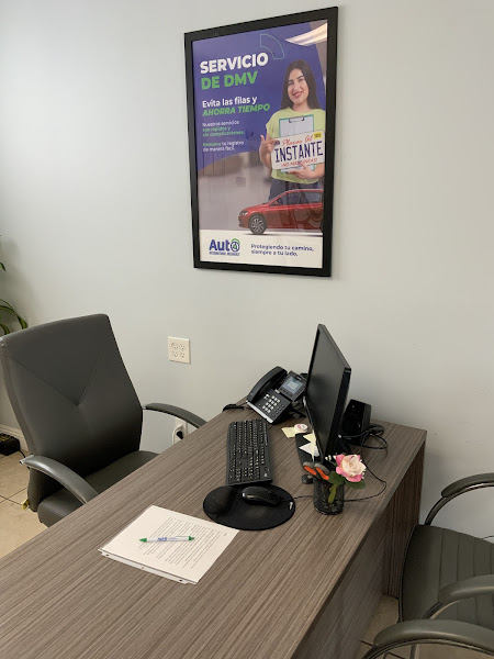 Auto International Insurance 3