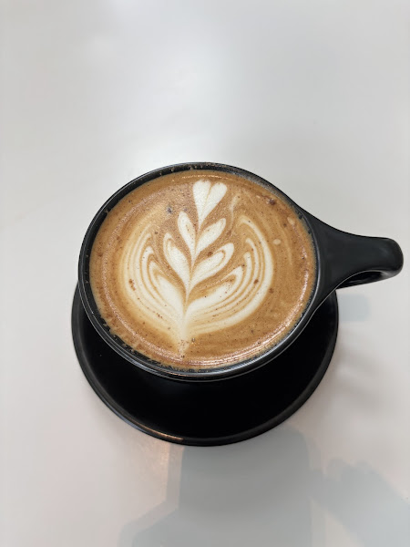 Cassel Earth Coffee 4