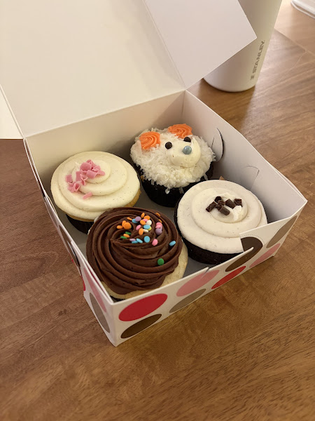 Dots Cupcakes 3