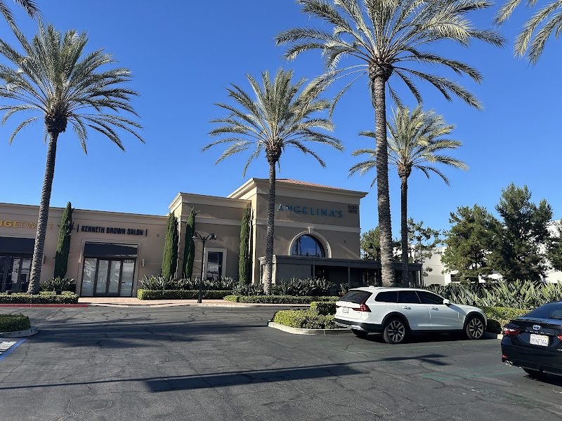 Kenneth Brown Salons 1
