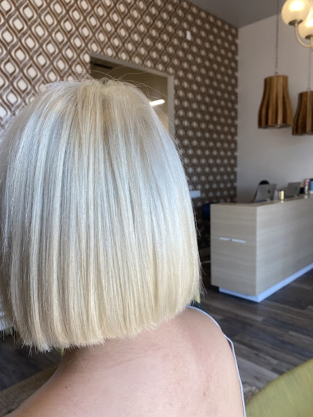Kenneth Brown Salons 2