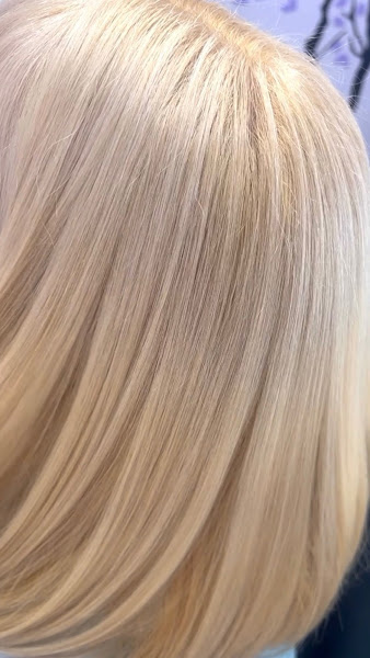 Gorgeous Hair by Tatyana J 2