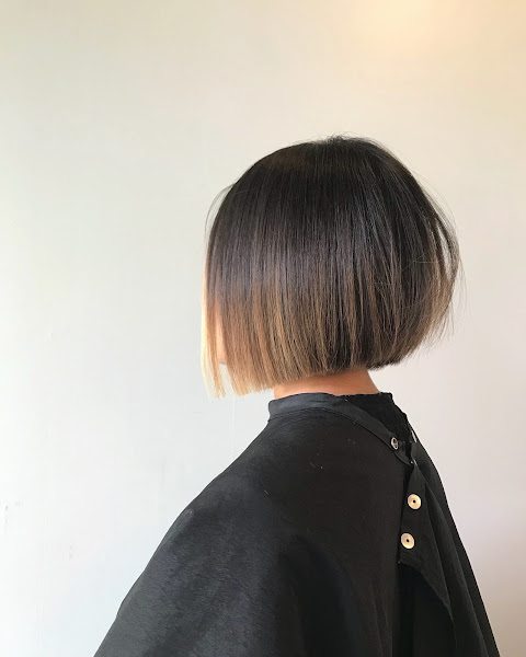 Triko Salon 3