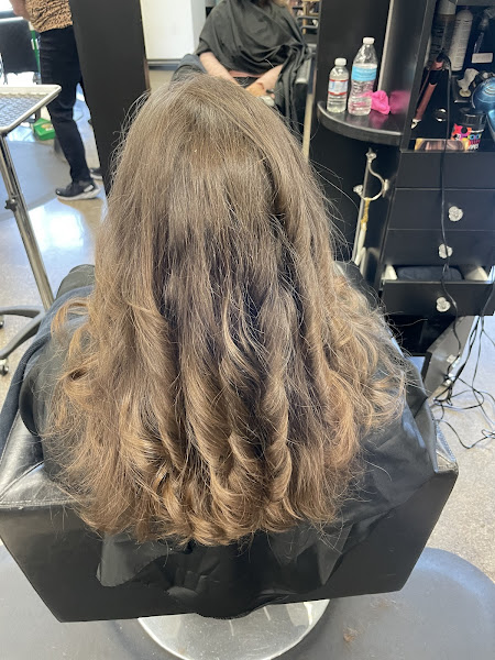 Cody Rose Salon 5