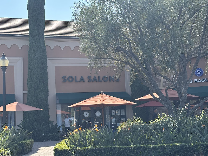 Neighborhood salon (sola salons #9) 1