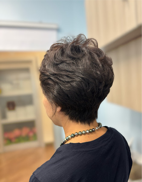 Neighborhood salon (sola salons #9) 2