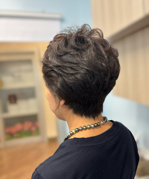 Neighborhood salon (sola salons #9) 5