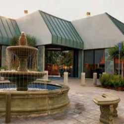 IRVINE TAX SOLUTIONS 1