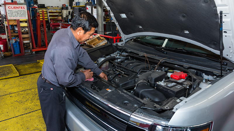 Purrfect Auto Service 1