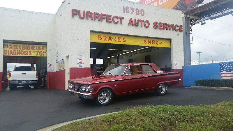 Purrfect Auto Service 3