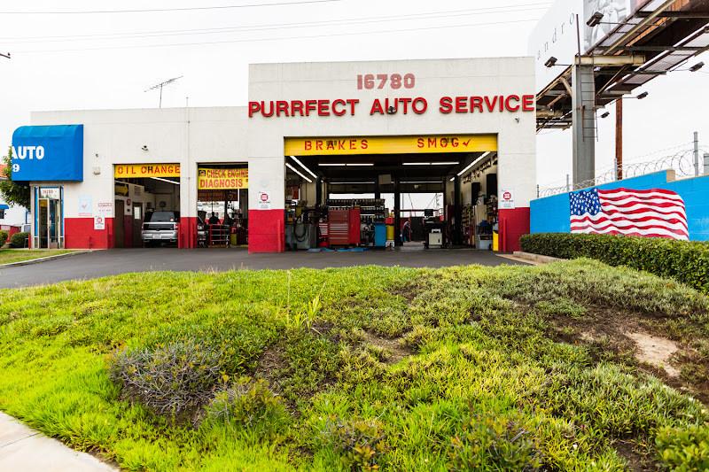 Purrfect Auto Service 4