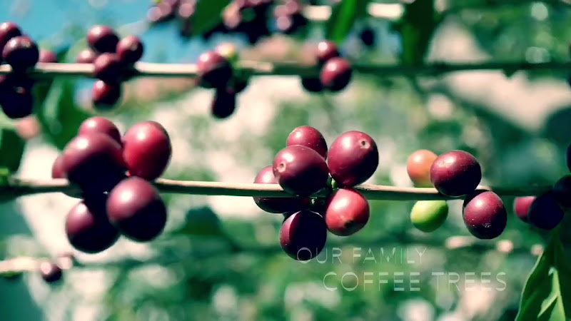 Kéan Coffee Artisan Roasters- Tustin 2