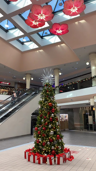 Little Tokyo Galleria 2