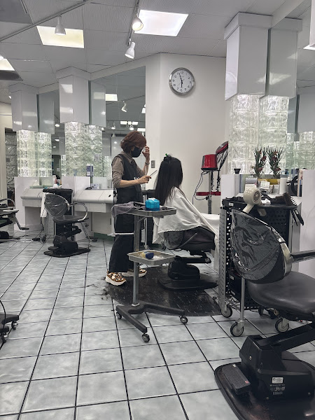KSY Kim Sun Young Hair & Beauty Salon LA ✂ 3
