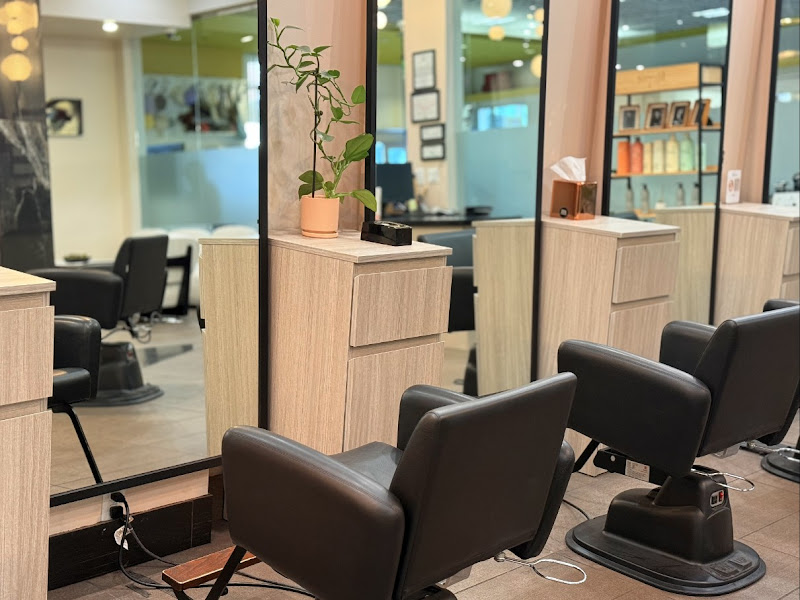 Theodora Hair Studio Vermont ✂ 3