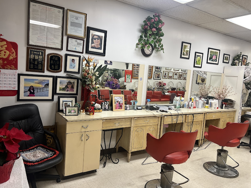 Elite Hair Stylists 2