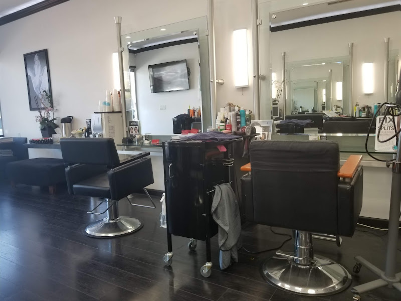 Hair World 3