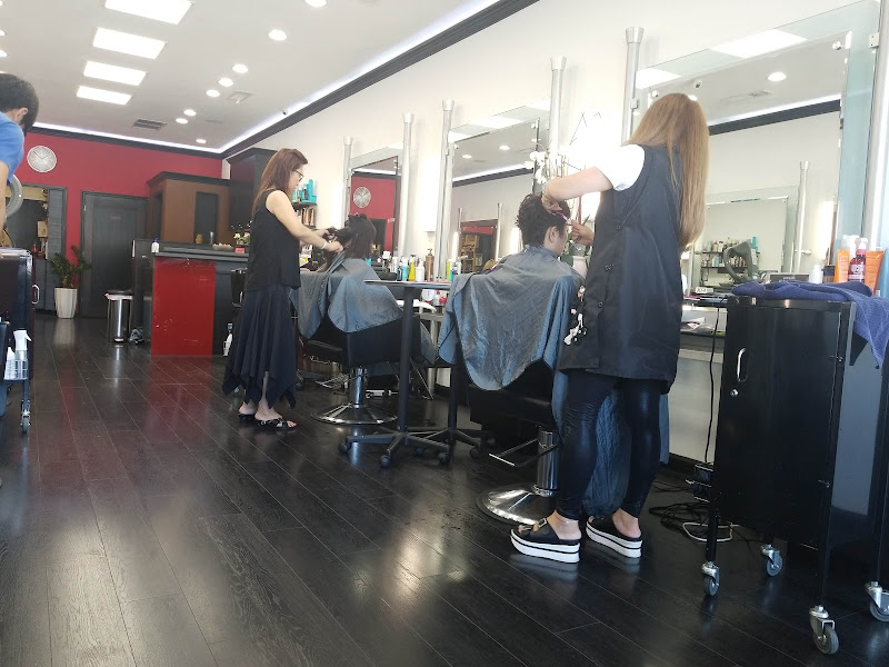Hair World 5