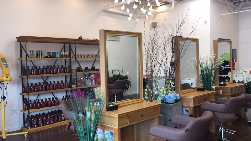 Langtao Hair Salon 2