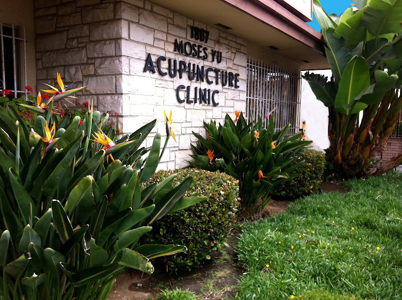 Yu Family Acupuncture Clinic 2