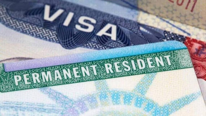 The Immigration Professor -- Immigration Lawyers