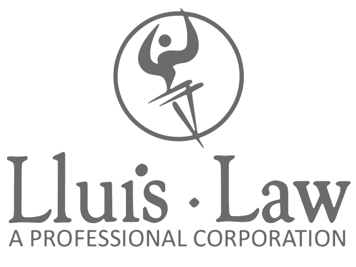 Lluis Law - Abogados de Inmigración y Defensa Criminal 2