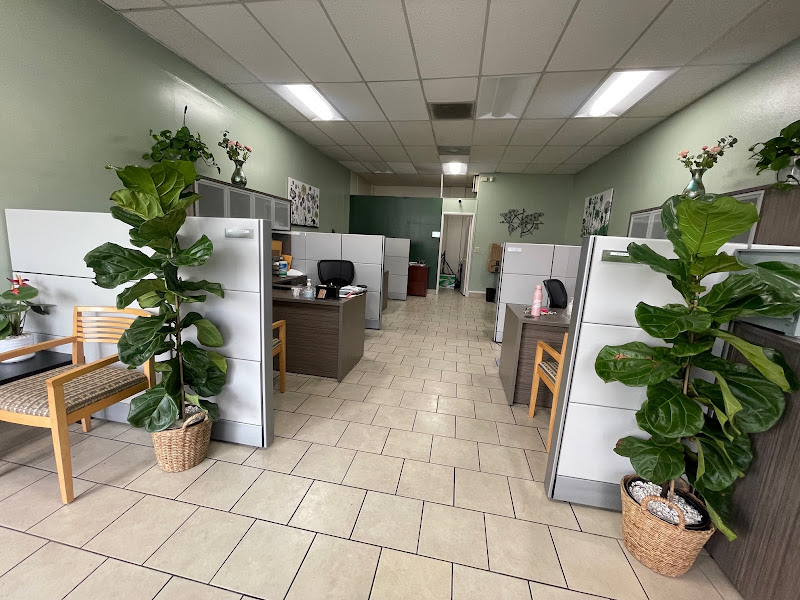 EZ Tax Solutions Co. (Formerly Silva's Tax Services 5