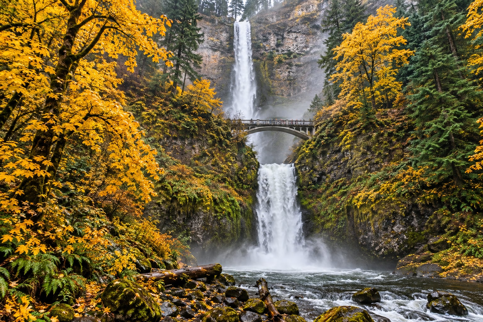 Wide angle 24mm landscape photograph of Multnomah Falls in the Columbia River Gorge showing the two tiered waterfall Benson Bridge and golden autumn maples