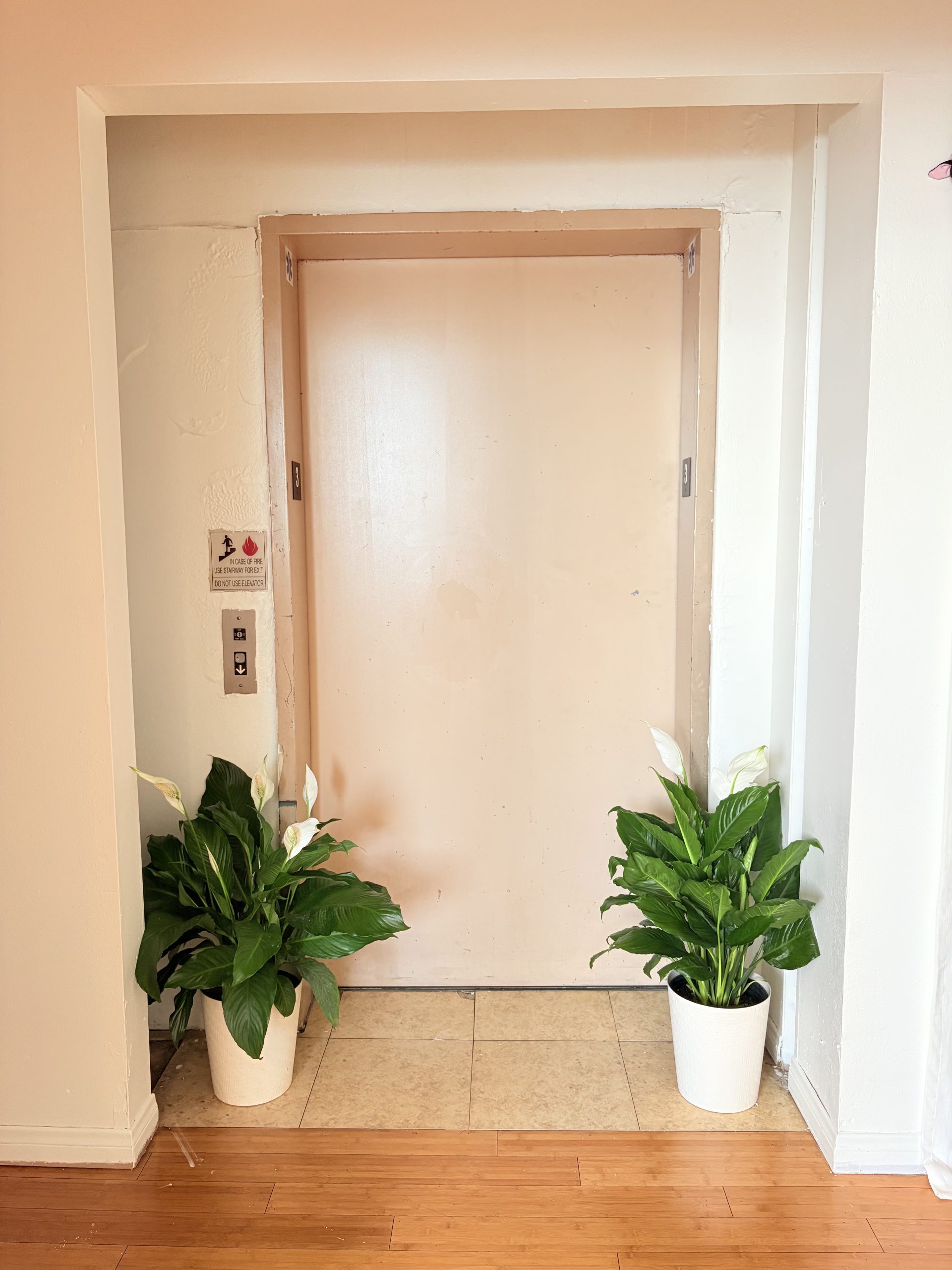 Blossom Thai Massage & Spa 5