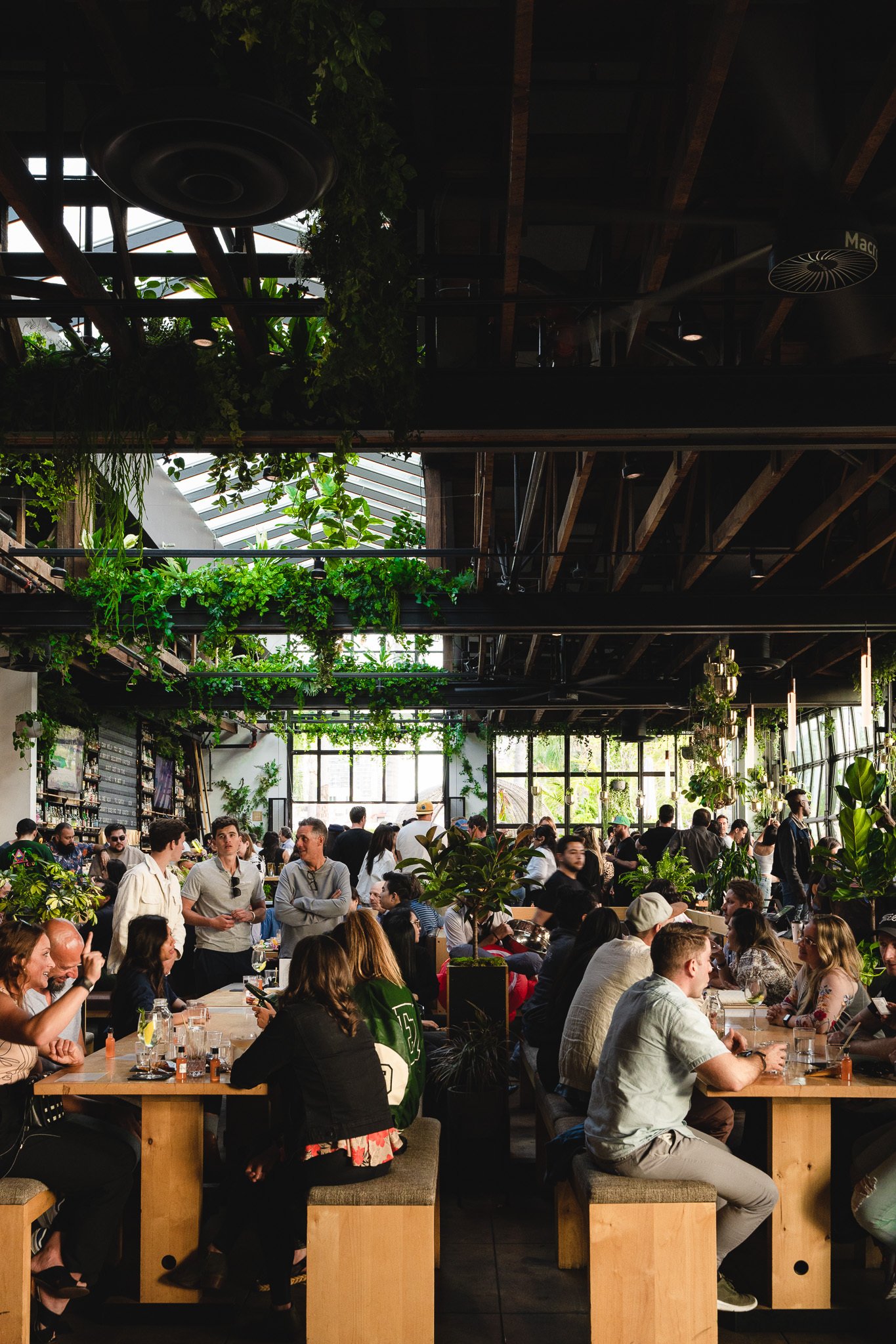 Nolita Hall