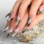 Sunflower Nails Plus 4