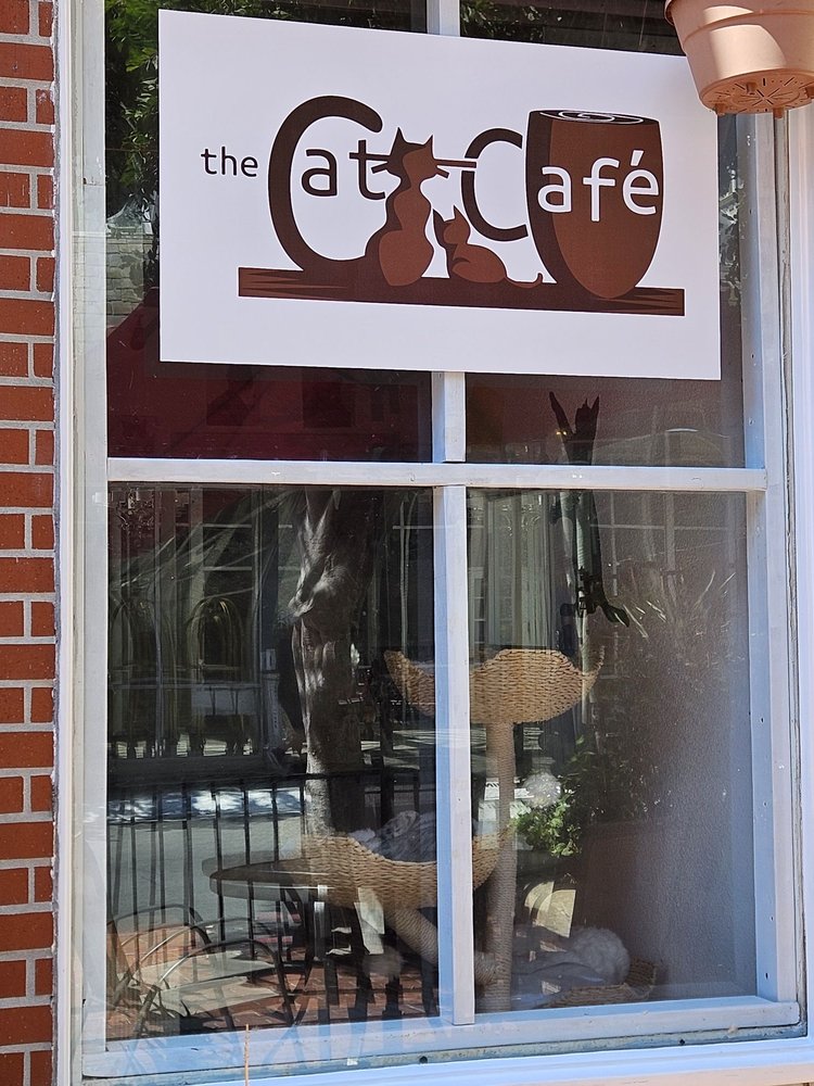 The Cat Cafe